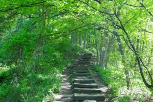 Hiking at Delaware Water Gap National Recreation Area