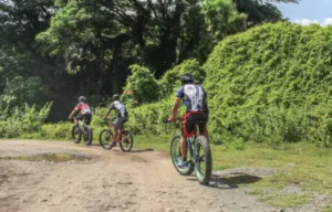 Cycling the McDade Recreational Trail