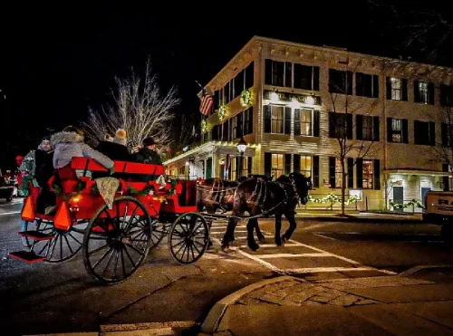 Horse and Carriage