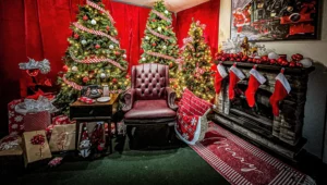 Discover the Magic of Milford This Holiday Season